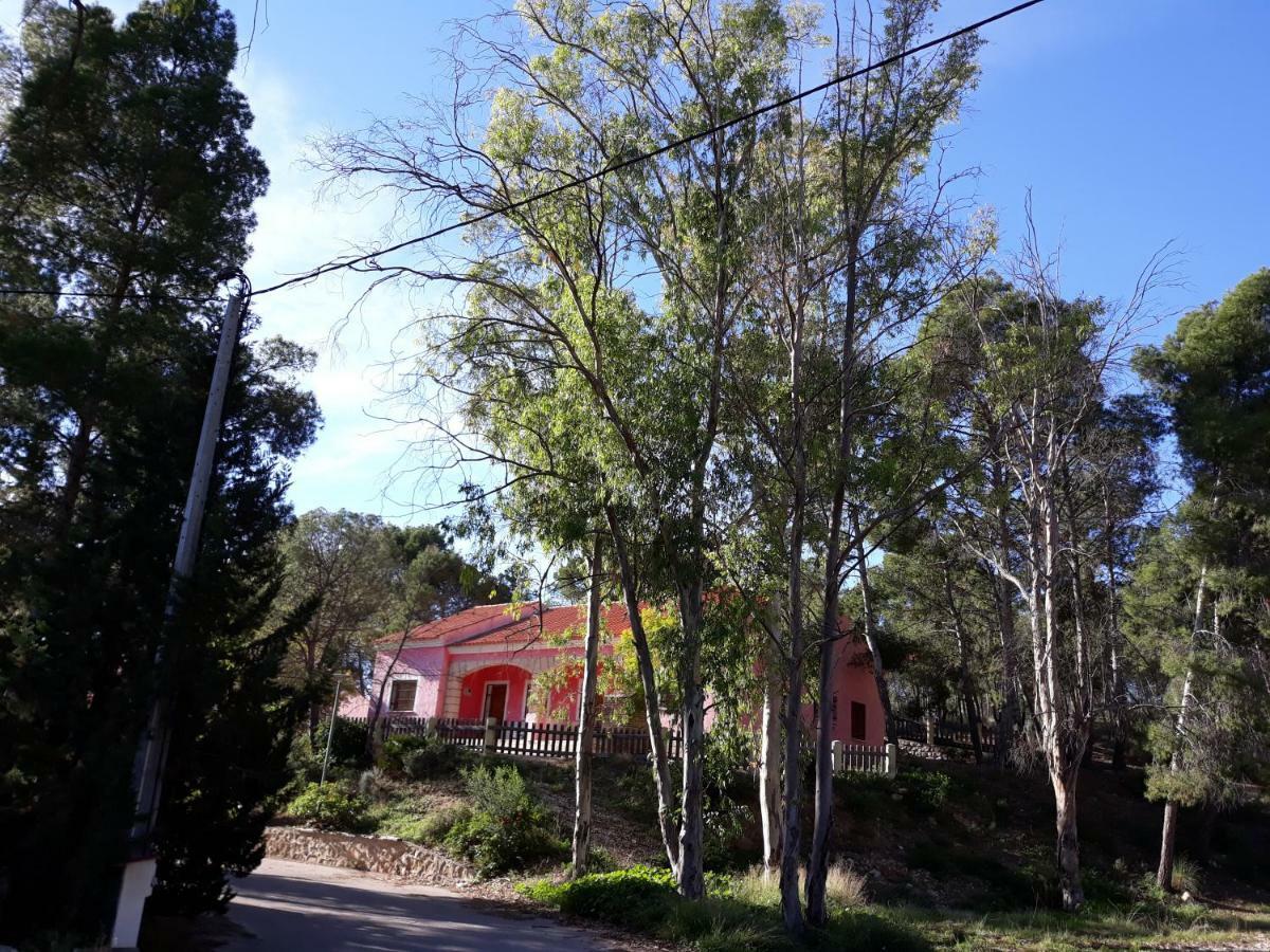 Casas Rurales "Paraje El Cajal" Ojós Eksteriør bilde